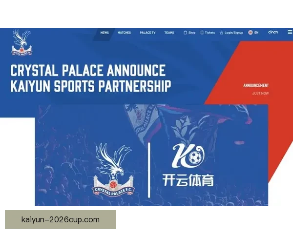 开云体育入口平台全面解析用户体验与赛事直播服务的优势与特点